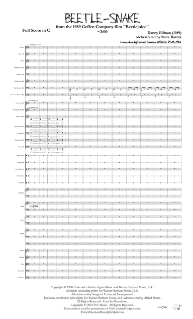 Beetle Snake (arr. Patrick Sheehan)