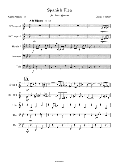 Spanish Flea (arr. Peet du Toit)