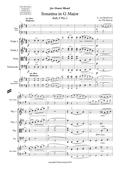 Beethoven - Sonatina in G - Piano & String Quartet/String Orchestra