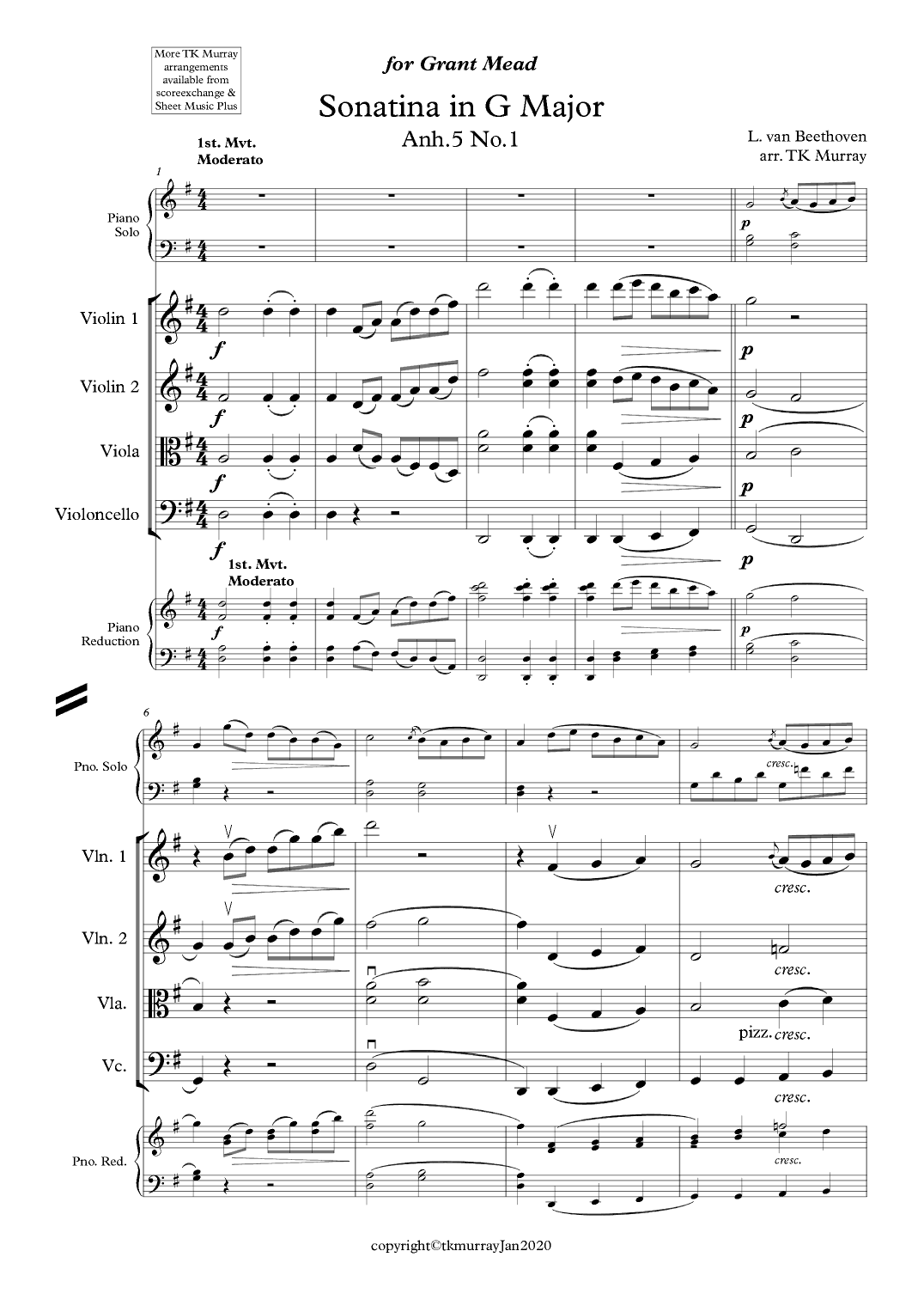 Beethoven - Sonatina in G - Piano & String Quartet/String Orchestra