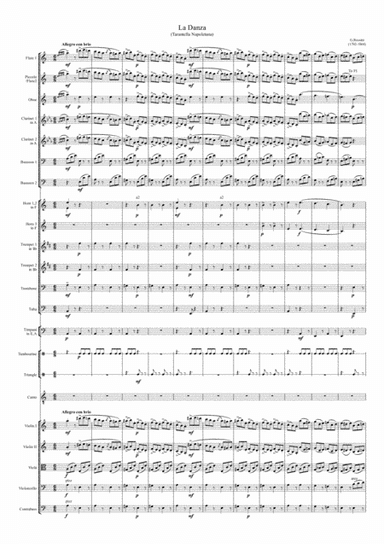 La Danza (Tarantella Napolitana) G.Rossini (arr. Dmitry Ganin)