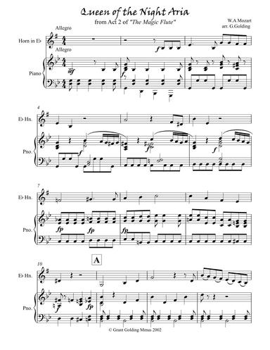 Queen of the Night Aria (arr. G.Golding)