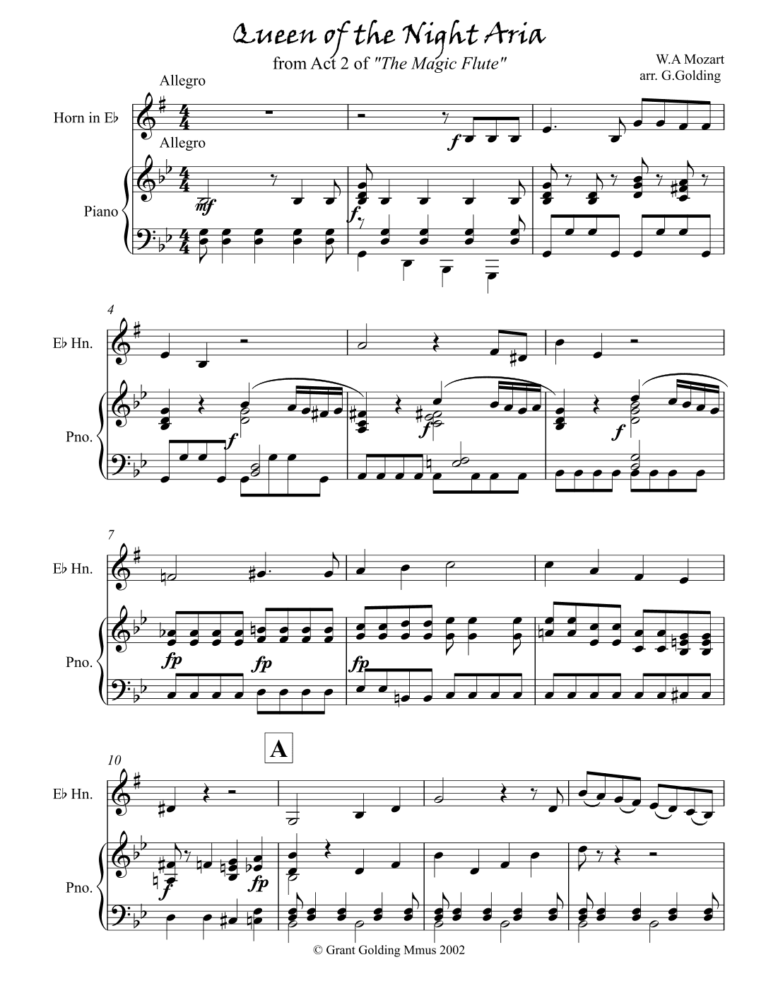 Queen of the Night Aria (arr. G.Golding)