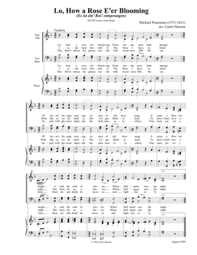 Lo, How a Rose E'er Blooming (SATB) (arr. Curtis Hanson)