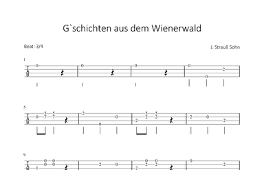 Gschichten aus dem Wienerwald (arr. Bettina Schipp)
