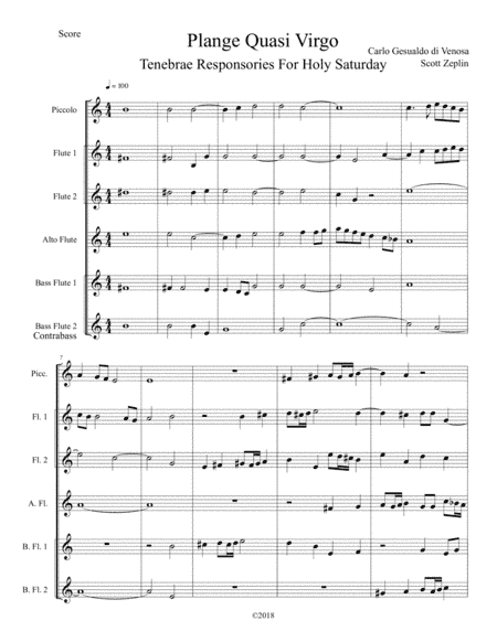 Plange Quasi Virgo (arr. Scott Zeplin)