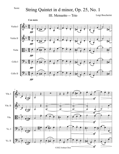 String Quintet in d minor, Op. 25, No. 1, Movement 3 (arr. Joshua Choe)