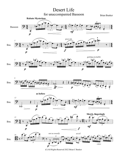 Desert Life (for Unaccompanied Bassoon)