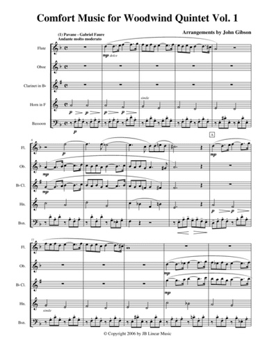 Comfort Music for Woodwind Quintet Vol I (arr. John Gibson)