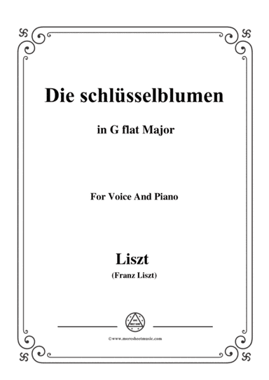 Liszt-Die schlüsselblumen in G flat Major,for Voice and Piano (arr. MSM)