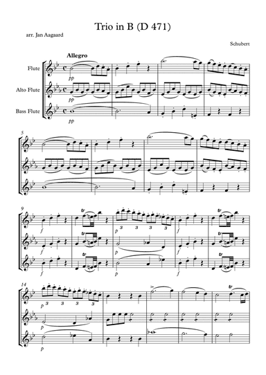 Schubert Trio in Bb (D 471) (arr. Jan Aagaard)