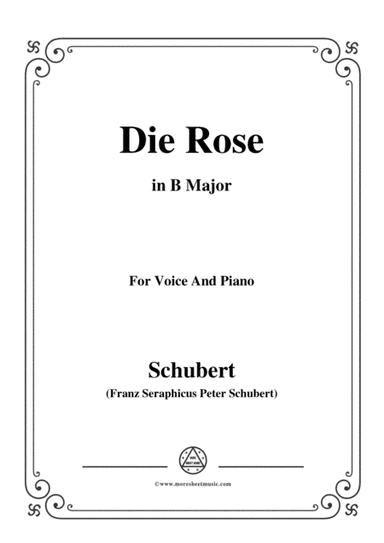 Schubert-Die Rose,in B Major,Op.73,for Voice and Piano (arr. MSM)
