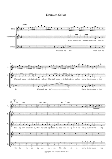 Drunken Sailor partnered with O sinner Man SATB (arr. Jane Anderson-Brown)