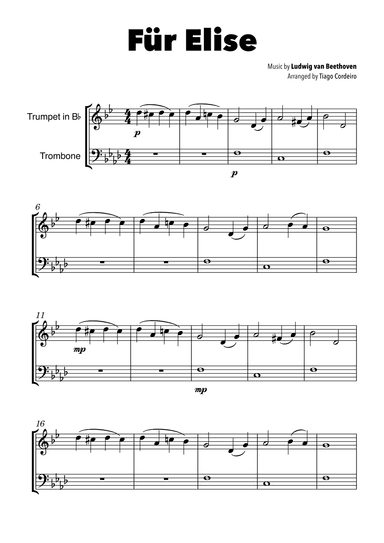 Für Elise (arr. Tiago Cordeiro)