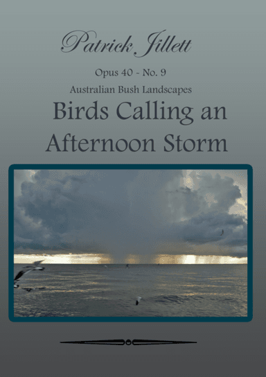 Birds Calling an Afternoon Storm - Australian Bush Landscapes