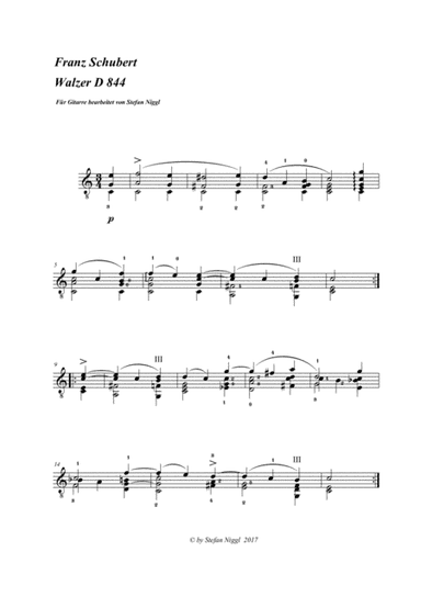 F.Schubert: Waltz D.844 (arr. Stefan Niggl)