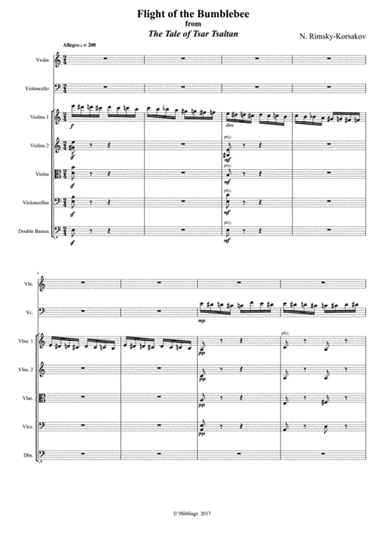 String Chamber Series: Flight of the Bumblebee (arr. 9Siblingz)