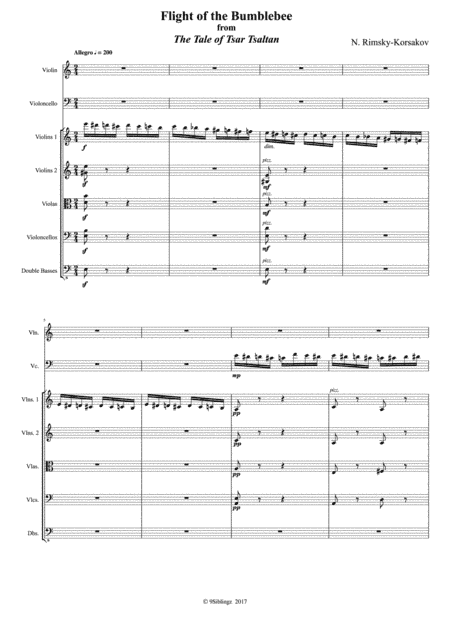 String Chamber Series: Flight of the Bumblebee (arr. 9Siblingz)