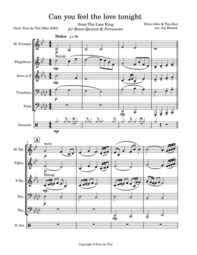 Can You Feel The Love Tonight (arr. Jay Bocook & Peet du Toit)