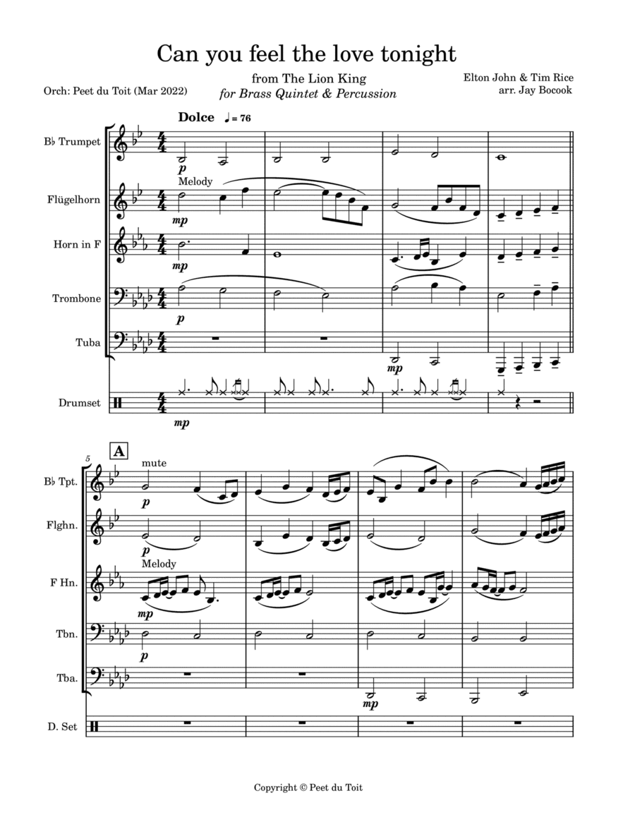 Can You Feel The Love Tonight (arr. Jay Bocook & Peet du Toit)