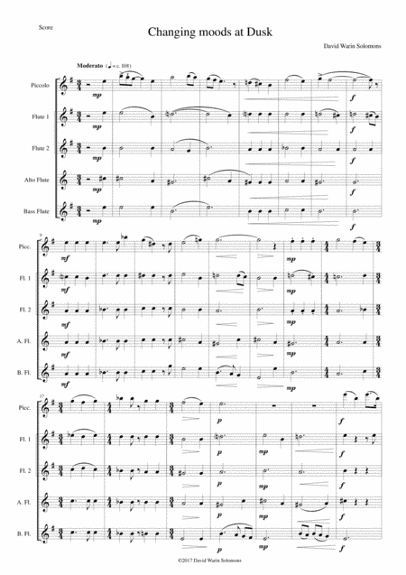 Changing moods at dusk for flute and piccolo quintet