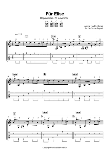 Für Elise (arr. Suzan Beyazit)