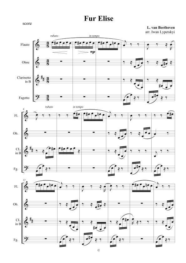 fur Elise (arr. Iwan Lypetskyi)