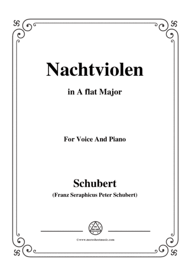 Schubert-Nachtviolen in A flat Major,for voice and piano (arr. MSM)