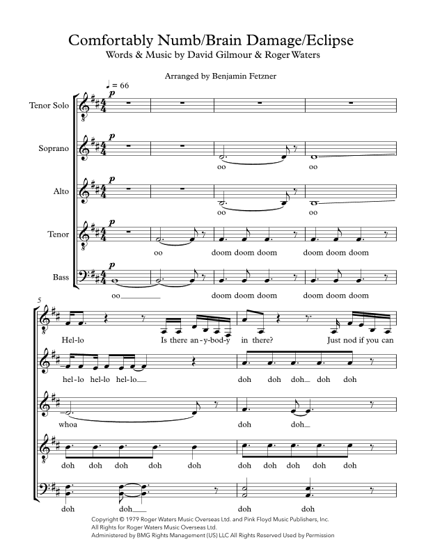 Comfortably Numb (arr. Benjamin Fetzner)