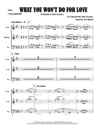 What You Won't Do For Love (arr. Ryan Gabbart)
