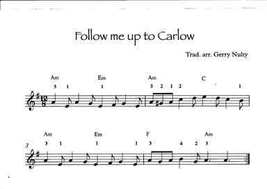 Follow me up to Carlow (arr. Gerry Nulty)
