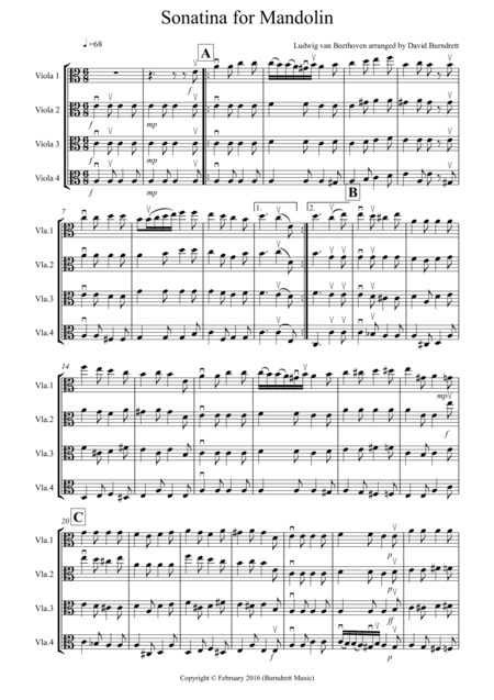 Sonatina by Beethoven for Viola Quartet (arr. David Burndrett)