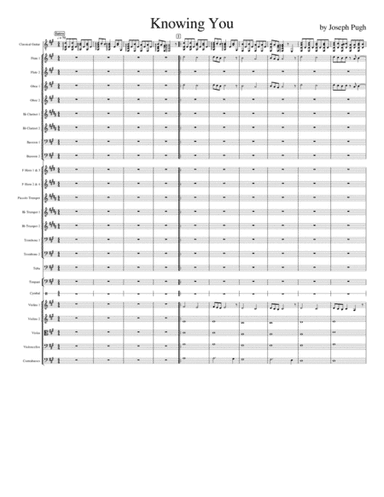 Concerto # 1 (Knowing You) 1st Movement