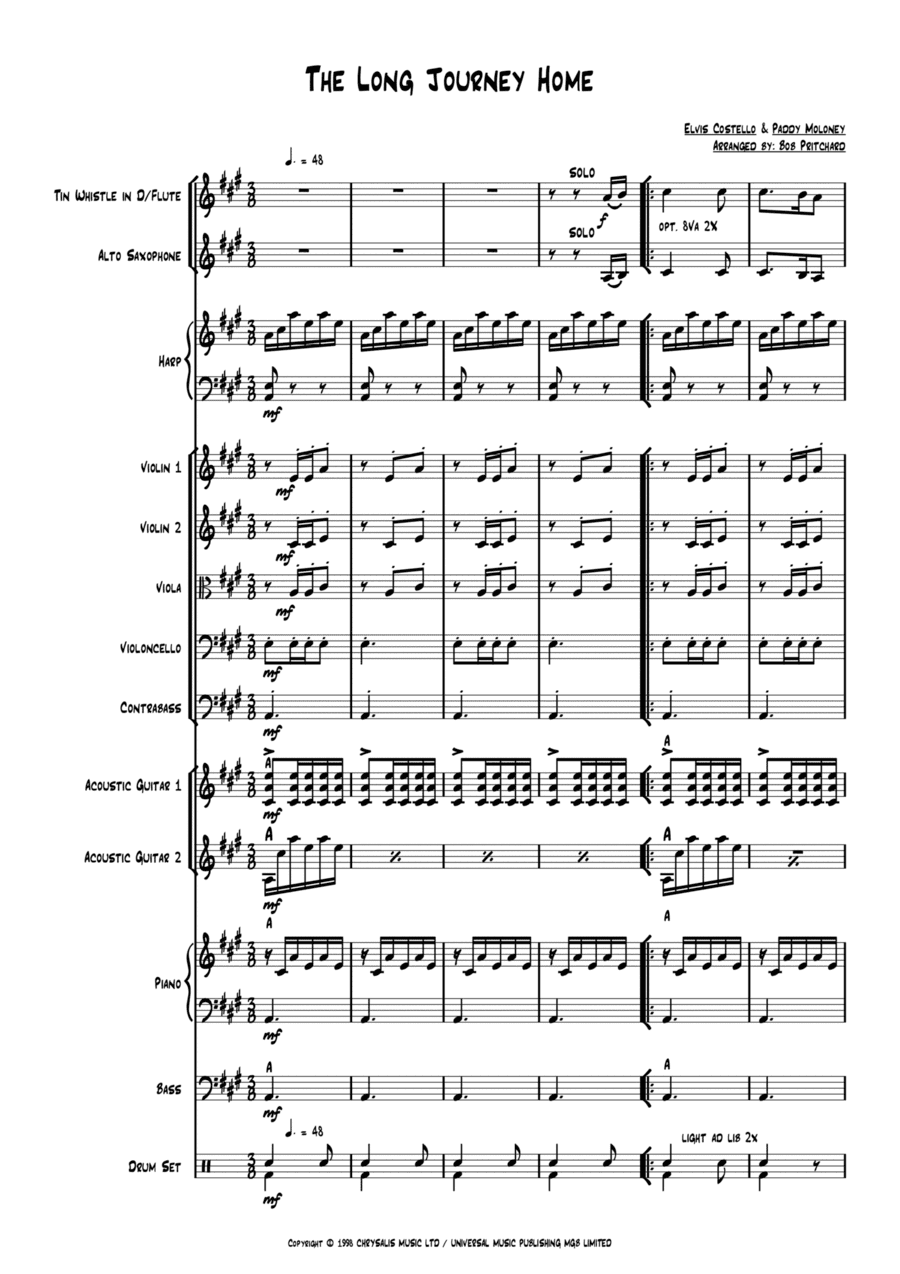 The Long Journey Home (Tin Whistle & Strings) (arr. Bob Pritchard)