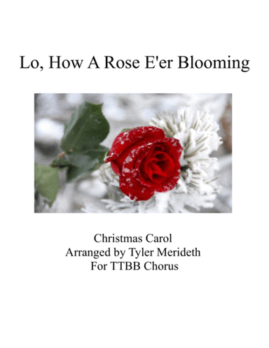 Lo, How A Rose E'er Blooming (arr. Tyler Merideth)