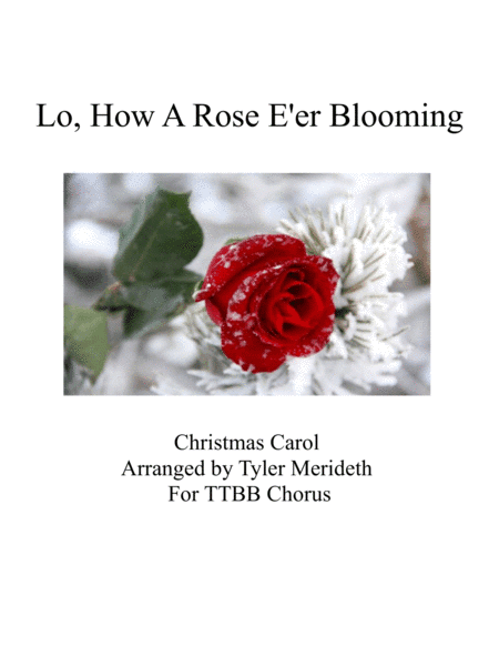 Lo, How A Rose E'er Blooming (arr. Tyler Merideth)