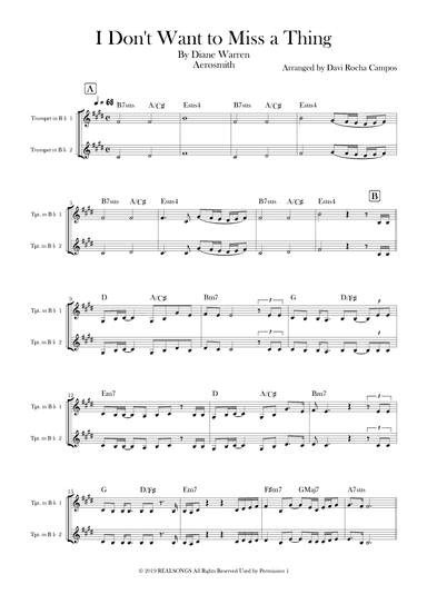 I Don't Want To Miss A Thing (arr. Davi Rocha Campos)