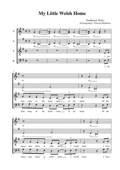 My Little Welsh Home (arr. Vincent Hababou)
