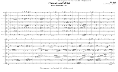 Chorale and Motet BWV 244 and BWV 227 (arr. Ian Fitze)