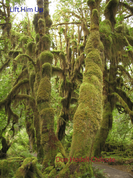 Lift Him Up (arr. Don Hodell Chilcote)