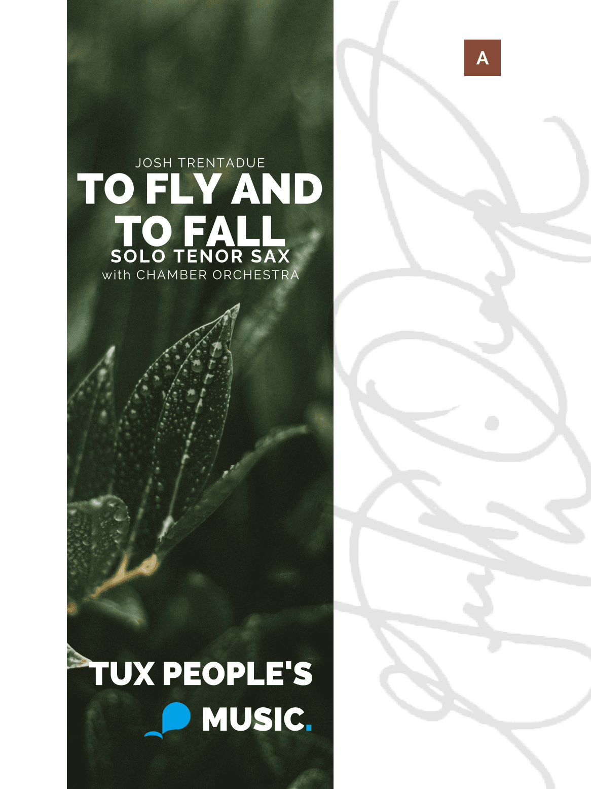 To fly and to fall (Concerto for Tenor Saxophone & Chamber Orchestra)