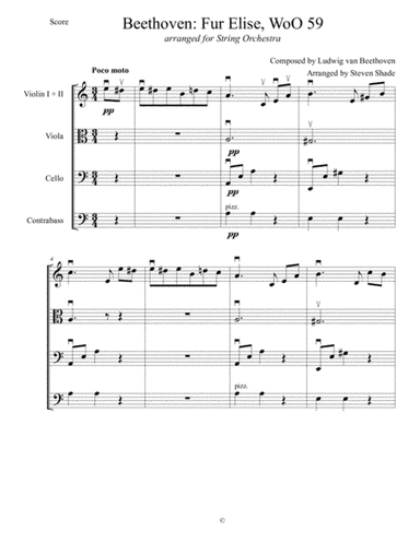 "Fur Elise," arranged for String Orchestra (arr. Steven Shade)