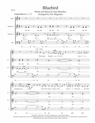 Bluebird (arr. Eric Hagmann)