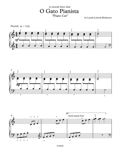 O Gato Pianista (Piano Cat)