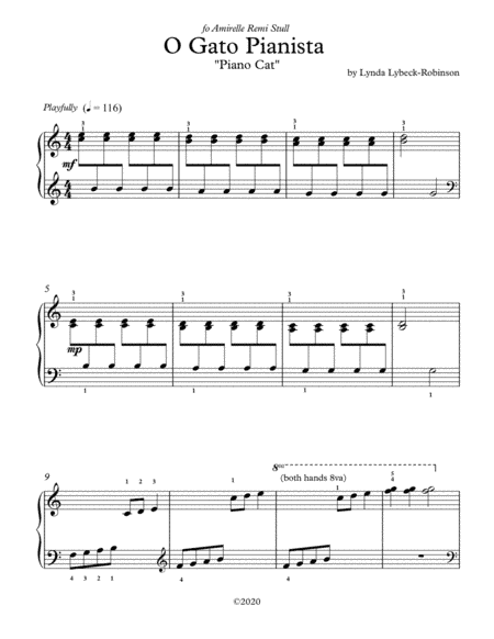 O Gato Pianista (Piano Cat)