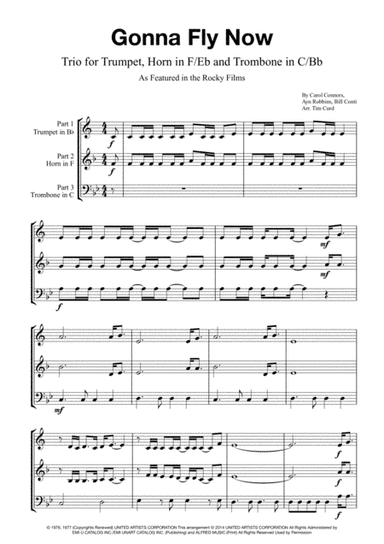 Gonna Fly Now (arr. Tim Curd)