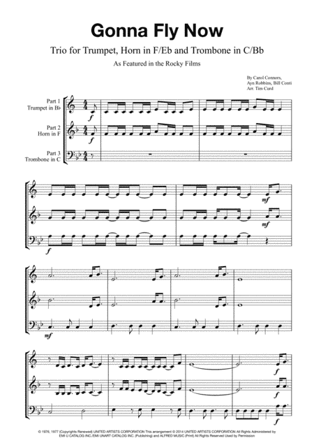 Gonna Fly Now (arr. Tim Curd)