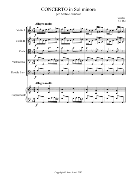 Vivaldi Concerto for String Orchestra in G minor RV 152 (arr. Amir Awad)