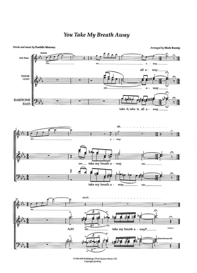 You Take My Breath Away (arr. Mark Burnip)