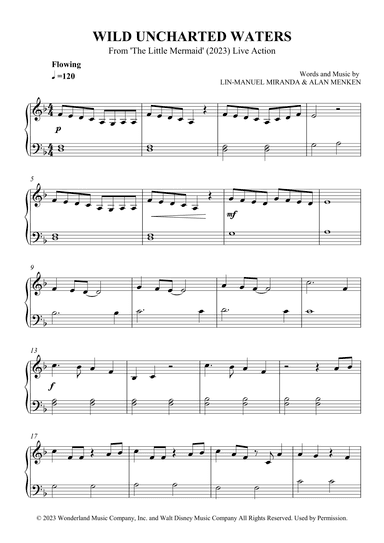 Wild Uncharted Waters (arr. SCMusic)